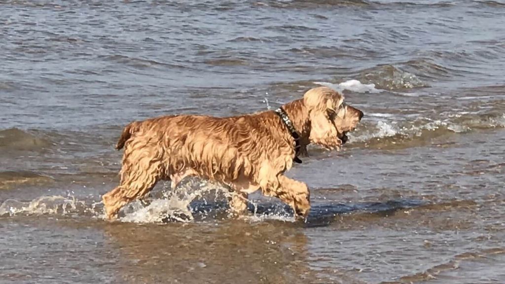 exercise using low water level for extra resistent