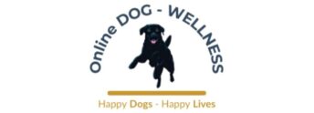 Online Dog Wellness – a site where you’ll find everything you need to keep your companion dog fit and strong.