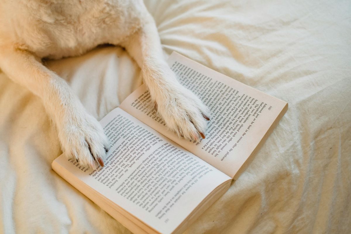 Educate and inspire through storytelling dog books