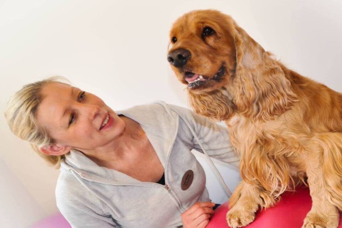 Canine physiotherapist with her own Cocker Spaniel during a rehab session—showing how physiotherapy strengthens the bond while supporting a dog’s health and mobility
