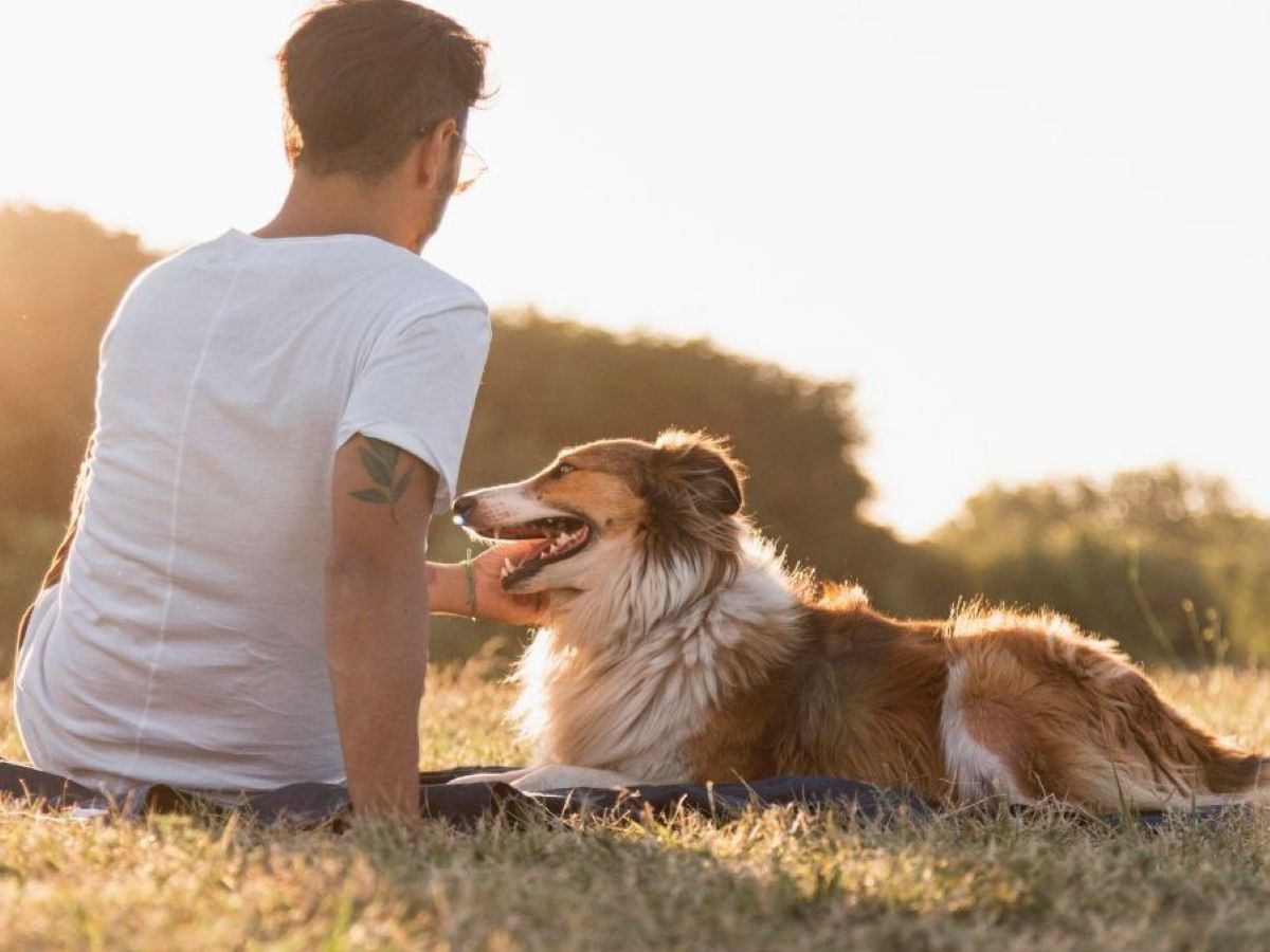 Man calmly pet his dog