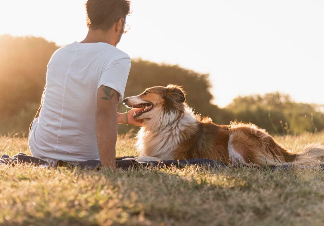 Man calmly petting his dog